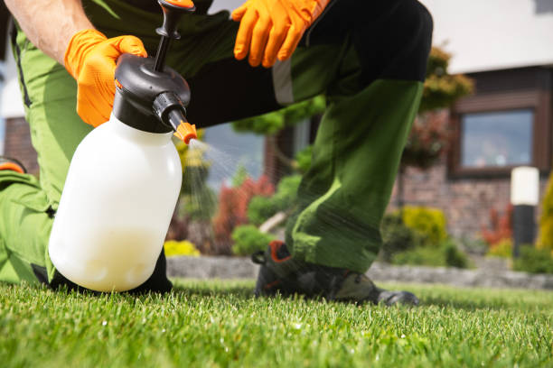 Best Insect Control  in Hokendauqua, PA