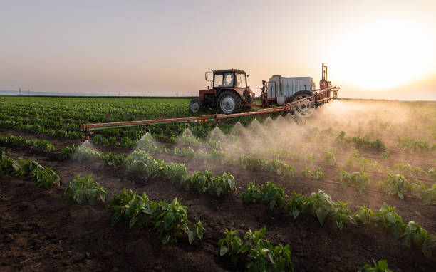 Best Commercial Pest Control Services  in Hokendauqua, PA