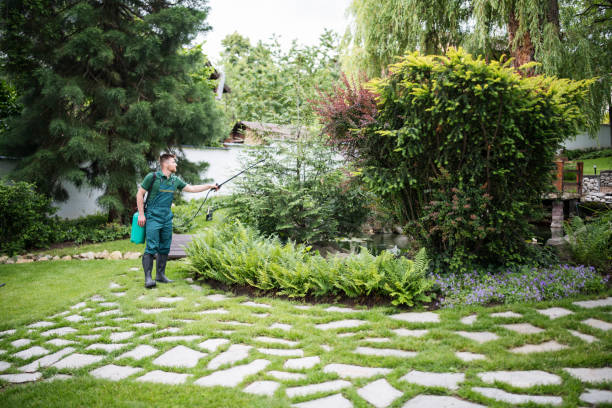 Best Exterminator Services  in Hokendauqua, PA