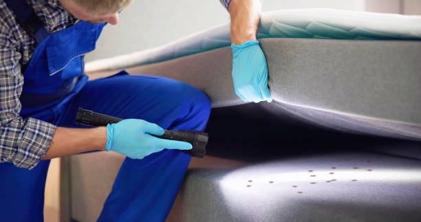 Best Ant Control Services  in Hokendauqua, PA