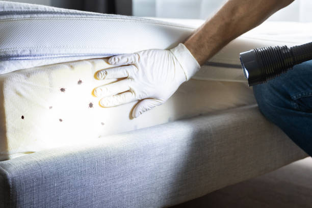 Best Residential Pest Control  in Hokendauqua, PA