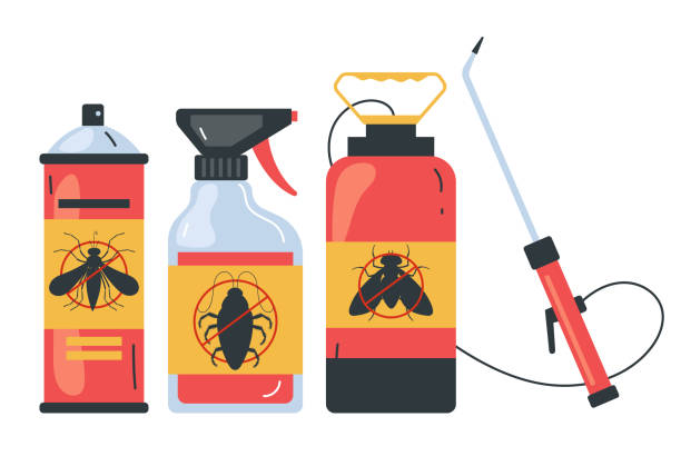 Best Termite Control Services  in Hokendauqua, PA