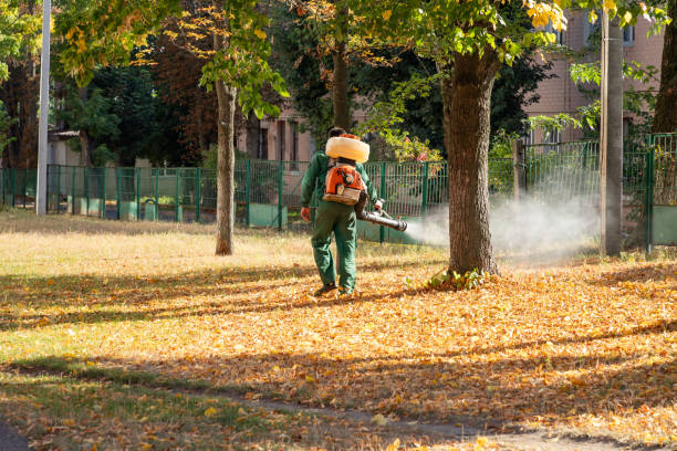 Best Mosquito Control Services  in Hokendauqua, PA