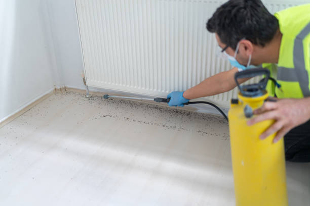 Best Local Pest Control Services  in Hokendauqua, PA