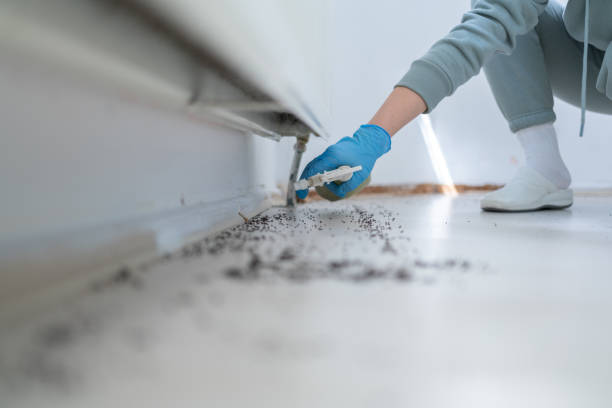 Best Pest Control Treatment  in Hokendauqua, PA