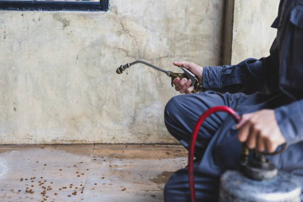 Best Residential Pest Control  in Hokendauqua, PA